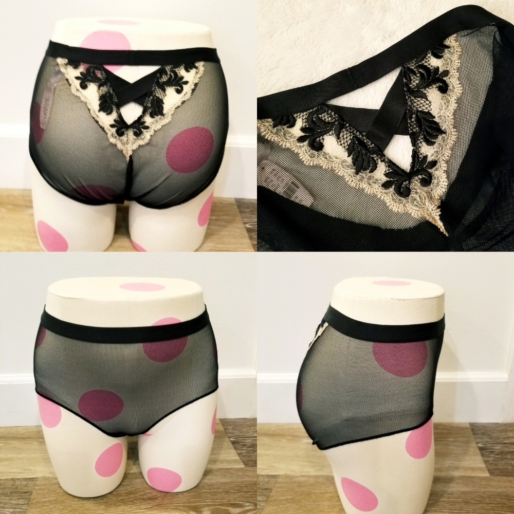 Victoria's Secret Vintage Limited Edition Lace Embroidered Fishnet Panty NWT